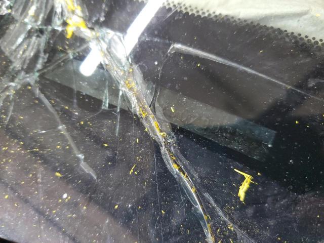 5TDZK22C07S079035 - 2007 TOYOTA SIENNA XLE 蓝色 照片 13