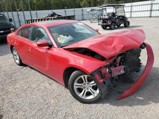 2C3CDXBG7GH293233 - 2016 DODGE CHARGER SE RED photo 1