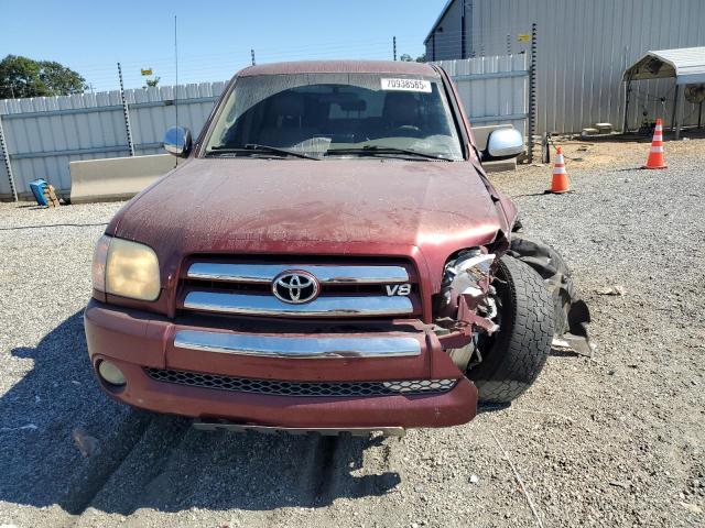 5TBET34136S527871 - 2006 TOYOTA TUNDRA DOUBLE CAB SR5 BURGUNDY photo 5