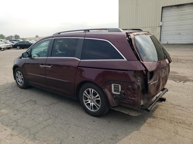 5FNRL5H68DB065268 - 2013 HONDA ODYSSEY EXL MAROON photo 2