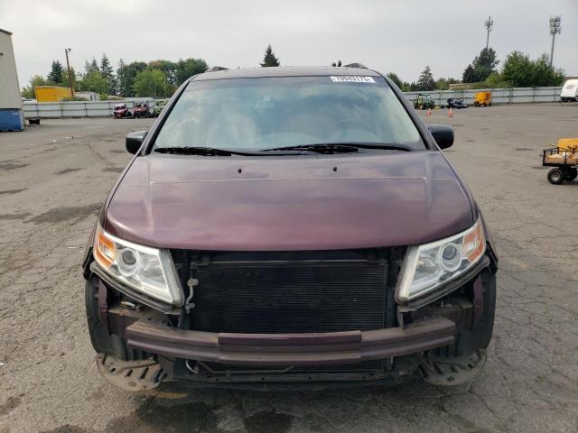 5FNRL5H68DB065268 - 2013 HONDA ODYSSEY EXL MAROON photo 5