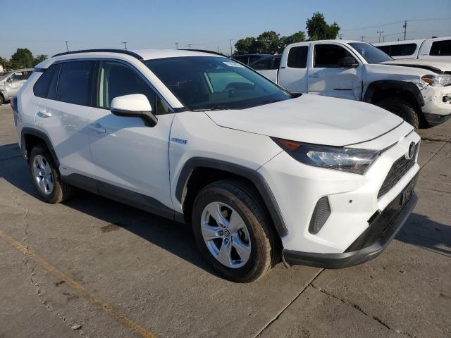 JTMMWRFV1LD064097 - 2020 TOYOTA RAV4 LE 白色 照片 4