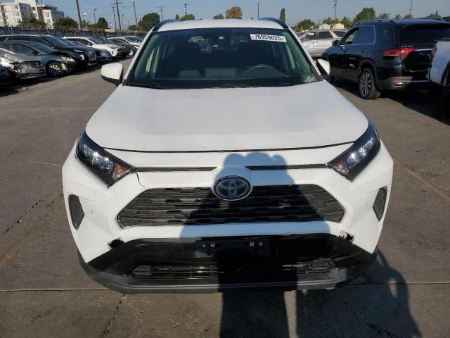 JTMMWRFV1LD064097 - 2020 TOYOTA RAV4 LE 白色 照片 5