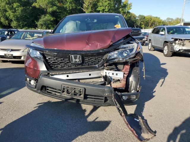 5FNYF8H52MB016384 - 2021 HONDA PASSPORT EXL BURGUNDY photo 5