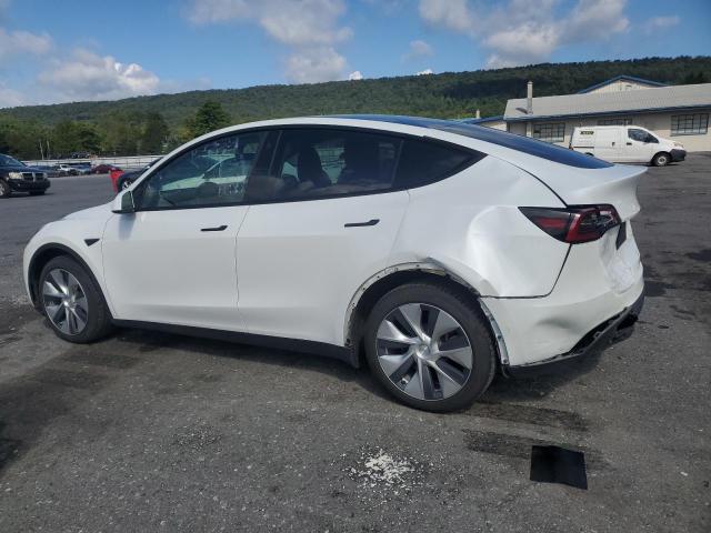 5YJYGDEE2MF142609 - 2021 TESLA MODEL Y WHITE photo 2