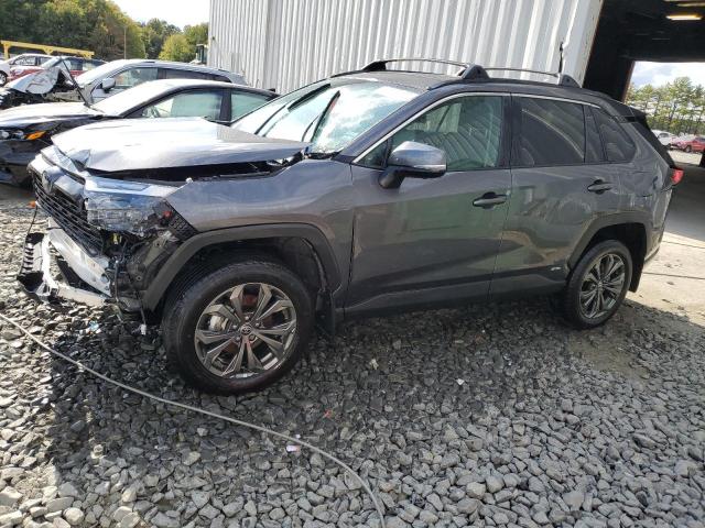 2022 TOYOTA RAV4 XLE PREMIUM, 