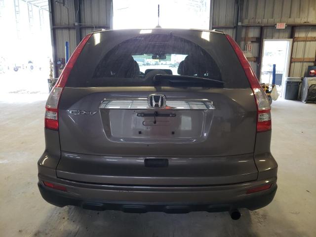 5J6RE3H79AL033276 - 2010 HONDA CR-V EXL GRAY photo 6