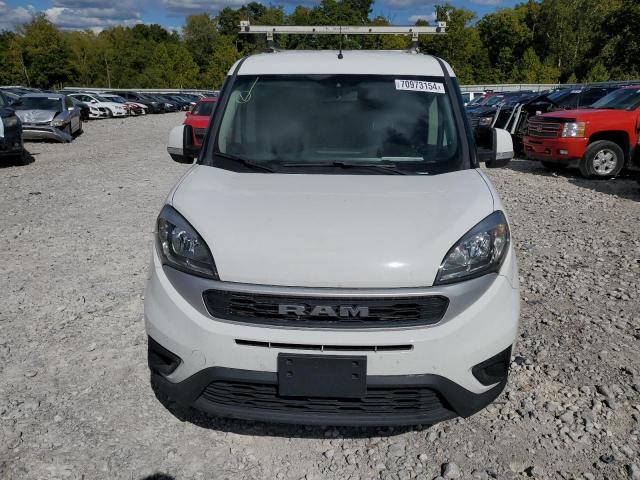 ZFBHRFBB1L6R75377 - 2020 RAM PROMASTER SLT Սպիտակ լուսանկար 5