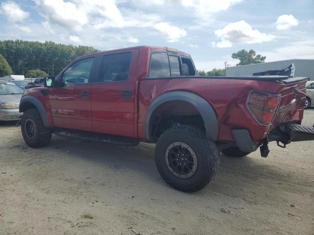 1FTFW1R67EFB95539 - 2014 FORD F150 SVT RAPTOR BURGUNDY photo 2