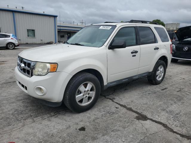 2011 FORD ESCAPE XLT, 
