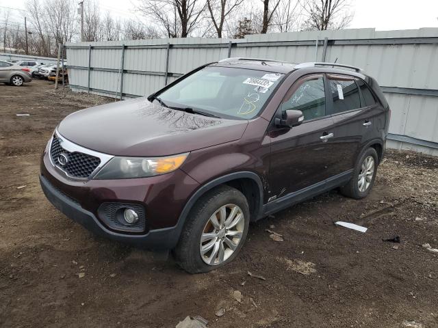 5XYKTDA23BG075764 - 2011 KIA SORENTO BASE MAROON photo 1