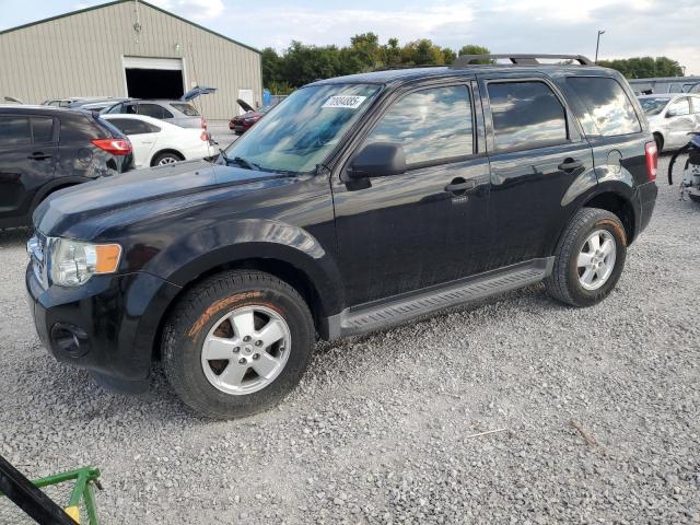 2012 FORD ESCAPE XLT, 