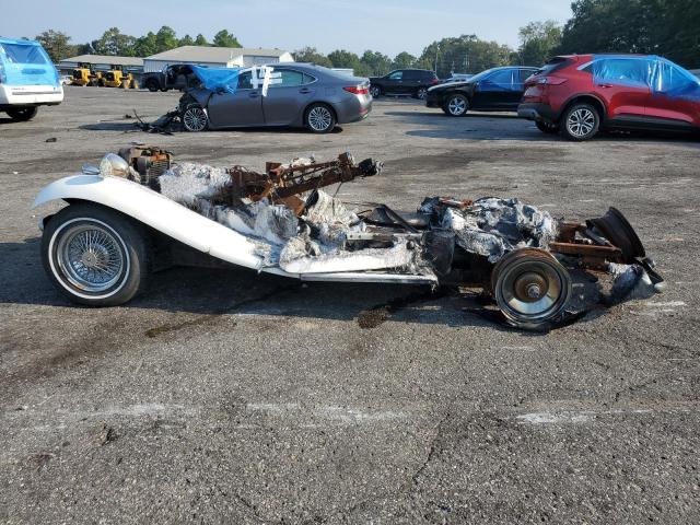 1DC003282ZZ - 1989 ASVE REPLICA 白色 照片 10