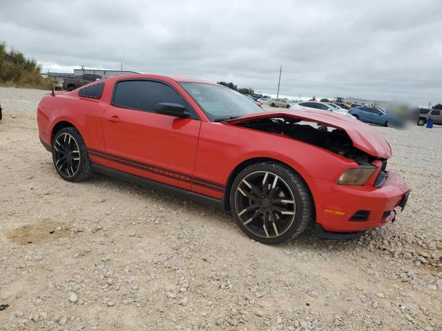 1ZVBP8AM6C5267748 - 2012 FORD MUSTANG RED photo 4