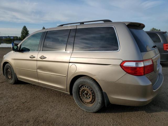 5FNRL38637B506538 - 2007 HONDA ODYSSEY EXL GOLD photo 2