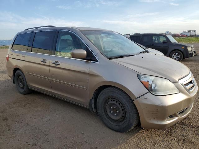 5FNRL38637B506538 - 2007 HONDA ODYSSEY EXL GOLD photo 4