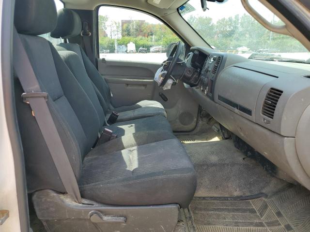 1GCPCPEX6AZ217232 - 2010 CHEVROLET SILVERADO C1500 白色 照片 7
