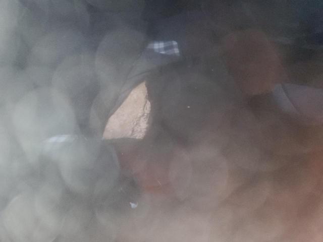 1G1FB1RS7L0110183 - 2020 CHEVROLET CAMARO LS Mavi foto 10