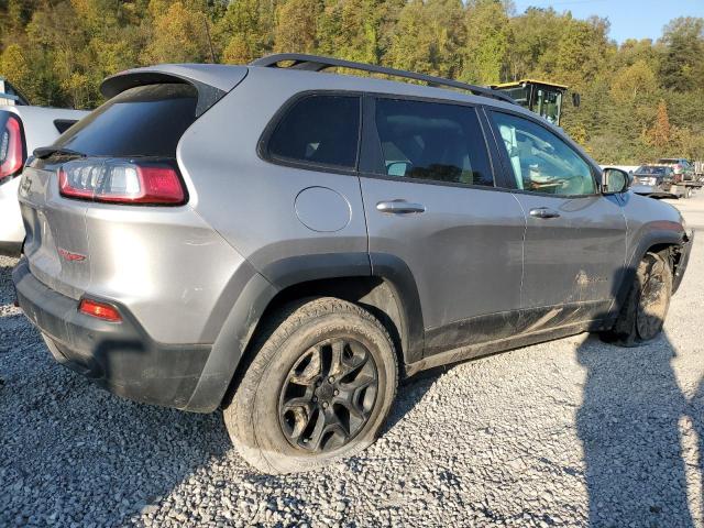 1C4PJMBX9KD245128 - 2019 JEEP CHEROKEE TRAILHAWK GRAY photo 3