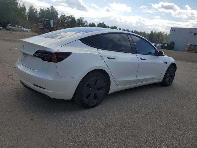 5YJ3E1EA7MF976614 - 2021 TESLA MODEL 3 WHITE photo 3