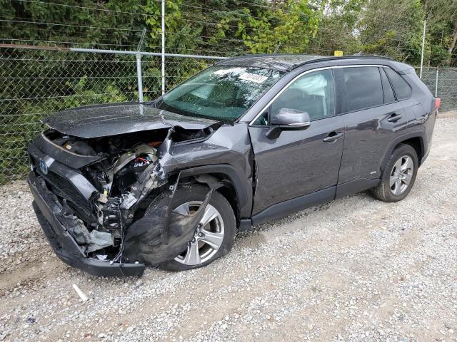 2024 TOYOTA RAV4 XLE, 