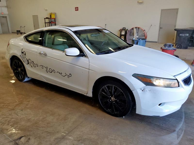 1HGCS22829A001245 - 2009 HONDA ACCORD EXL თეთრი ფოტო 4