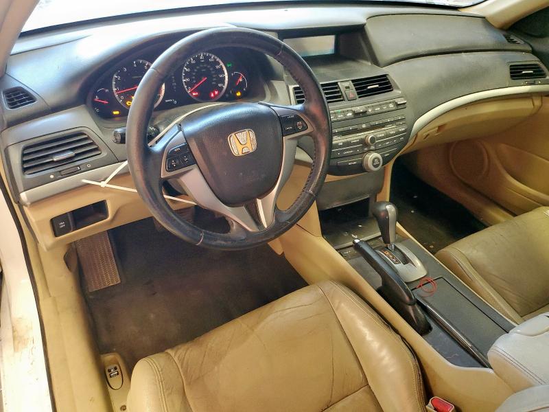 1HGCS22829A001245 - 2009 HONDA ACCORD EXL თეთრი ფოტო 8
