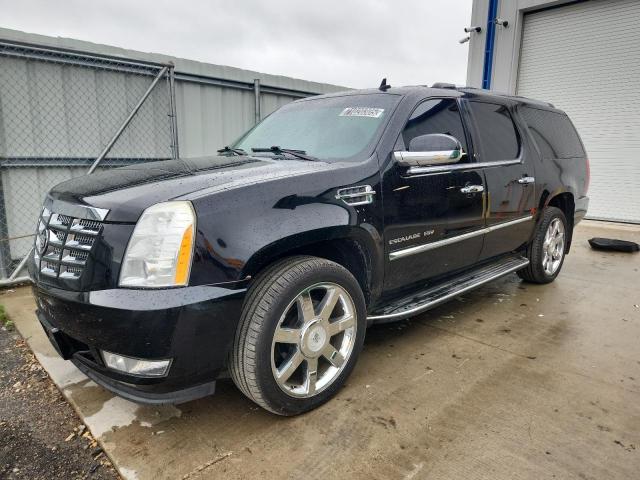 2010 CADILLAC ESCALADE ESV LUXURY, 