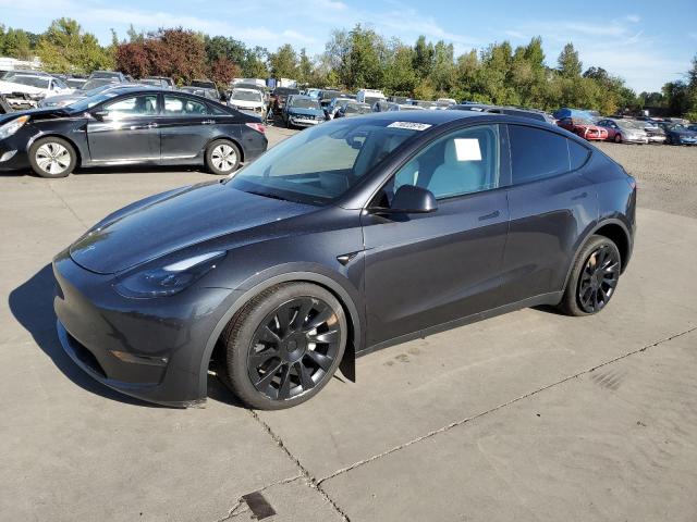 7SAYGAEE2RF080993 - 2024 TESLA MODEL Y GRAY photo 1