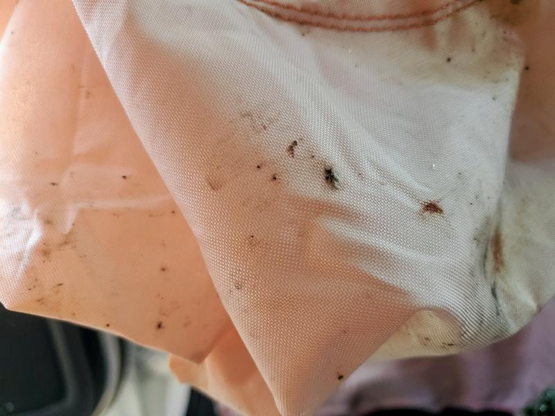 2FMPK4J99RBA68401 - 2024 FORD EDGE SEL თეთრი ფოტო 7