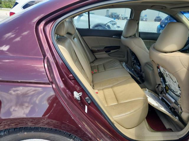 1HGCP26808A040779 - 2008 HONDA ACCORD EXL BURGUNDY photo 10