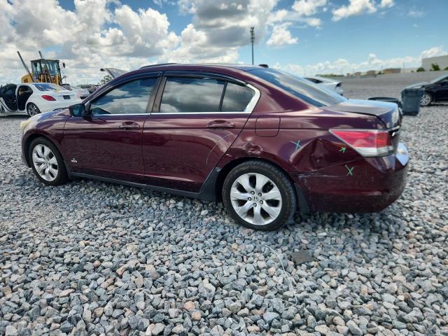 1HGCP26808A040779 - 2008 HONDA ACCORD EXL BURGUNDY photo 2