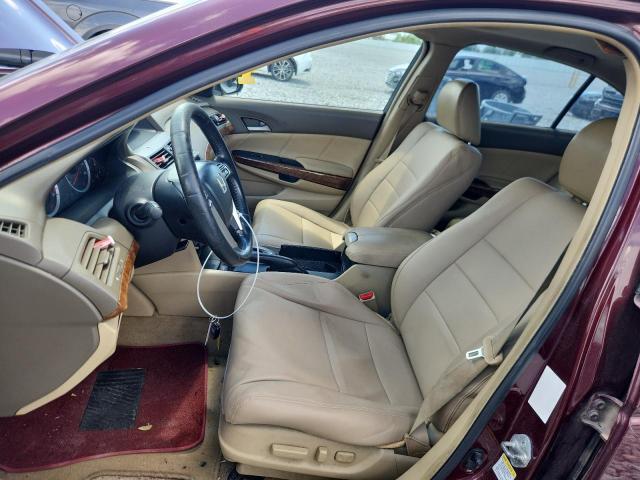 1HGCP26808A040779 - 2008 HONDA ACCORD EXL BURGUNDY photo 7