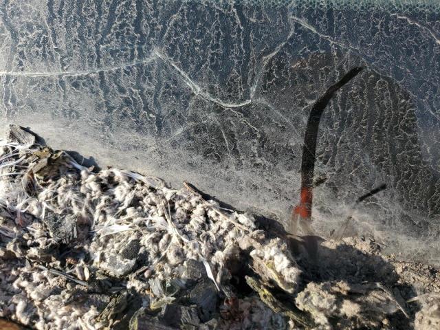 5FPYK1F50CB453117 - 2012 HONDA RIDGELINE RTL BLACK photo 12