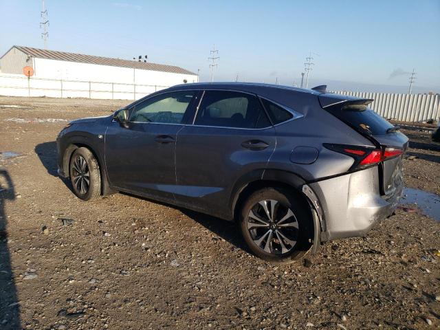 JTJSARDZ7M2241547 - 2021 LEXUS NX 300 BASE Boz foto 2