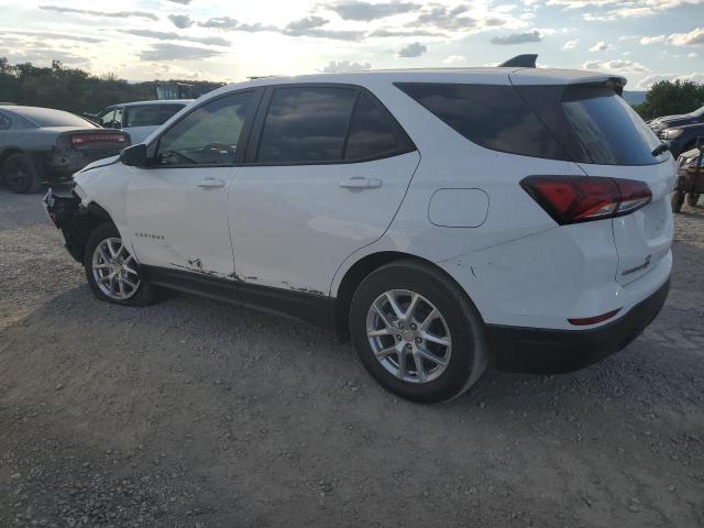 3GNAXSEGXRL202496 - 2024 CHEVROLET EQUINOX LS WHITE photo 2