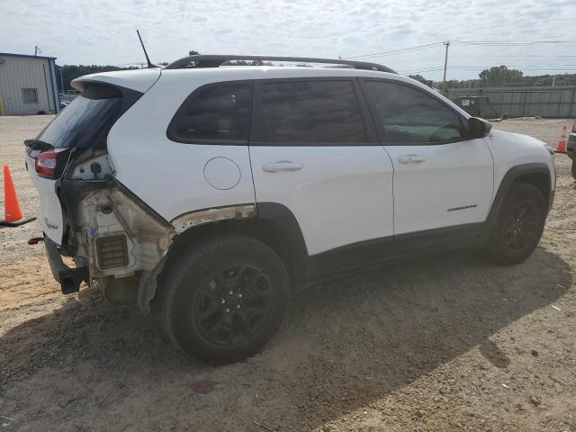 1C4PJMBB1JD569144 - 2018 JEEP CHEROKEE TRAILHAWK Ağ foto 3