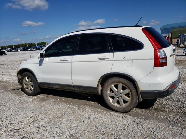 JHLRE48727C118905 - 2007 HONDA CR-V EXL WHITE photo 2