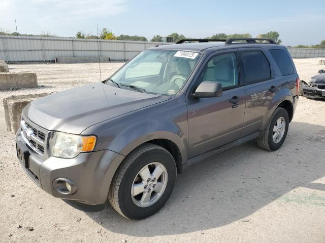 2010 FORD ESCAPE XLT, null