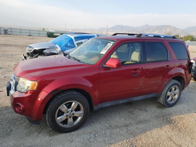 2009 FORD ESCAPE LIMITED, 