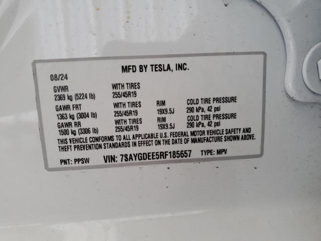 7SAYGDEE5RF185657 - 2024 TESLA MODEL Y WHITE photo 14