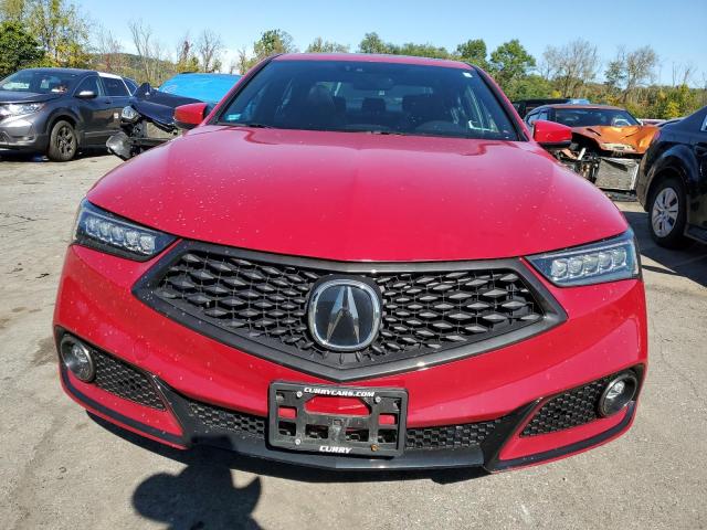 19UUB3F66JA003491 - 2018 ACURA TLX TECH+A Կարմիր լուսանկար 5