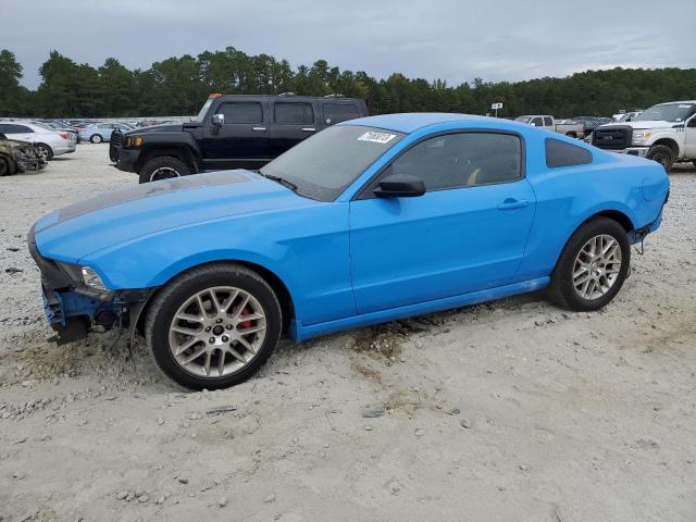 1ZVBP8AM3D5277171 - 2013 FORD MUSTANG BLUE photo 1