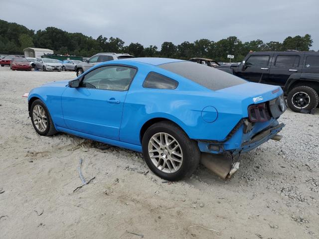 1ZVBP8AM3D5277171 - 2013 FORD MUSTANG BLUE photo 2