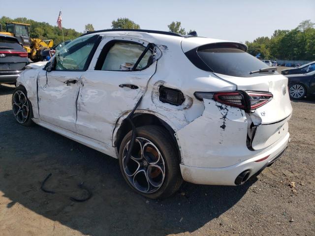 ZASPAKBN5N7D32201 - 2022 ALFA ROMEO STELVIO TI WHITE photo 2
