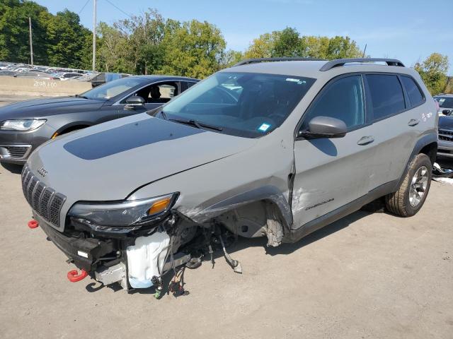1C4PJMBX4KD395180 - 2019 JEEP CHEROKEE TRAILHAWK GRAY photo 1