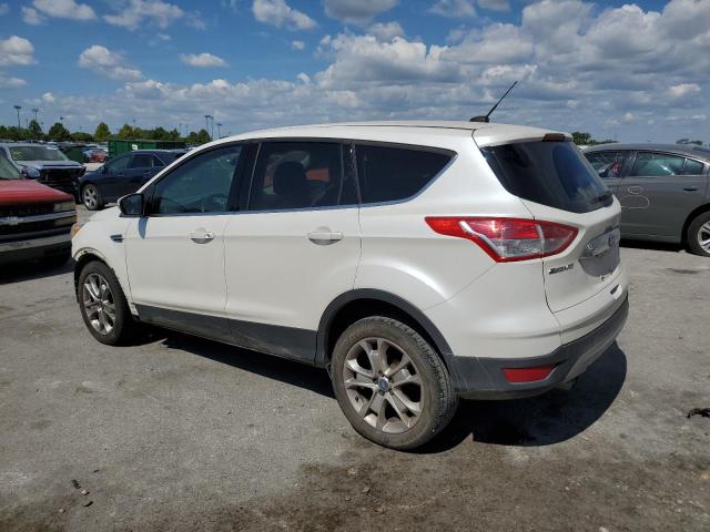 1FMCU0HXXDUC16810 - 2013 FORD ESCAPE SEL WHITE photo 2
