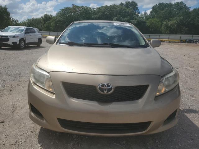 1NXBU4EEXAZ337791 - 2010 TOYOTA COROLLA BASE TAN photo 5