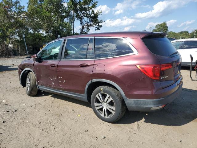 5FNYF6H58HB057239 - 2017 HONDA PILOT EXL BURGUNDY photo 2