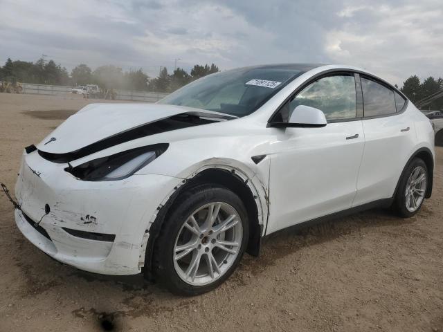 2023 TESLA MODEL Y, 